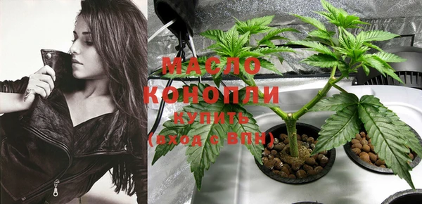 стафф Бородино