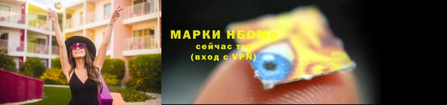 стафф Бородино
