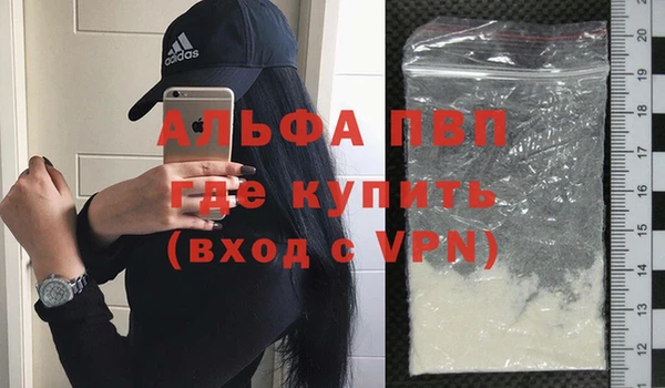 стафф Бородино
