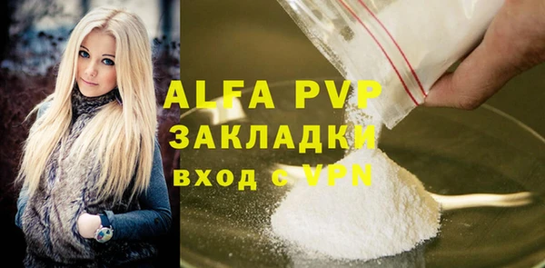 стафф Бородино