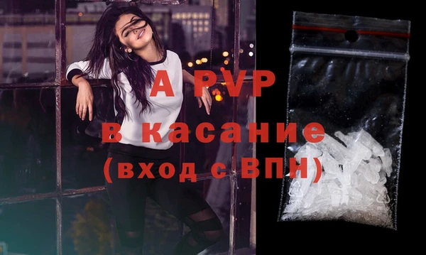 стафф Бородино
