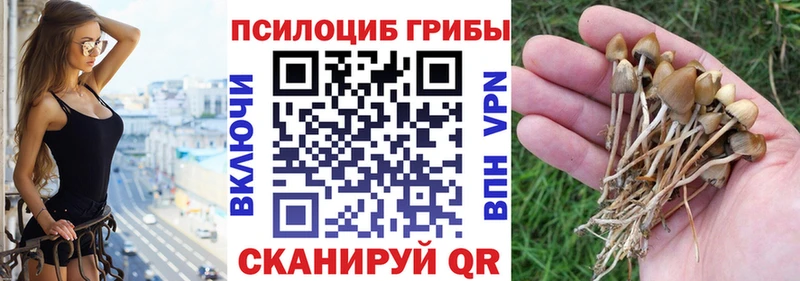 Псилоцибиновые грибы мухоморы  Купить где  Красноуральск 